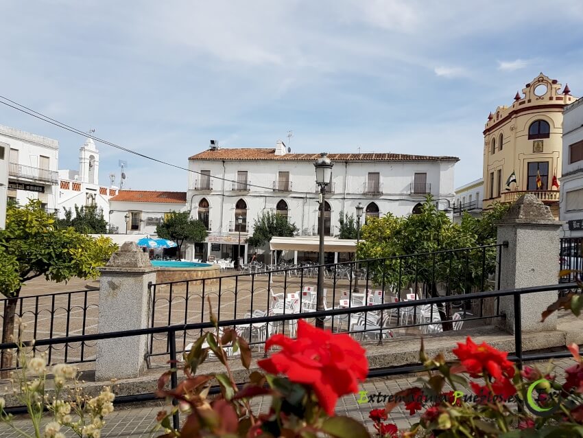 Ver Plaza del Ayuntamiento