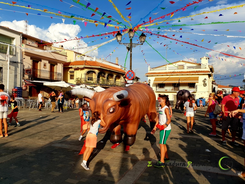 Ver Plaza de la Constitución