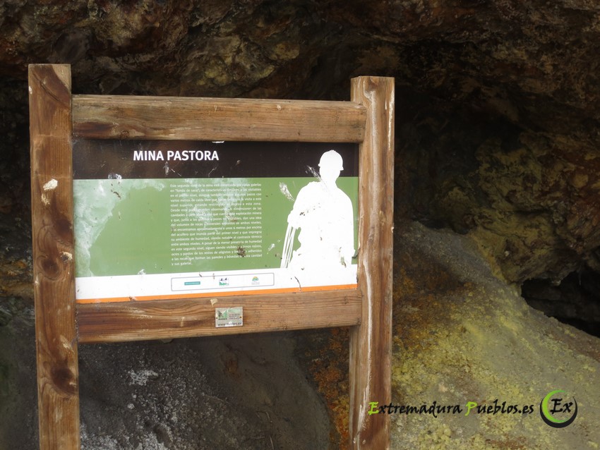 Ver Mina La Pastora