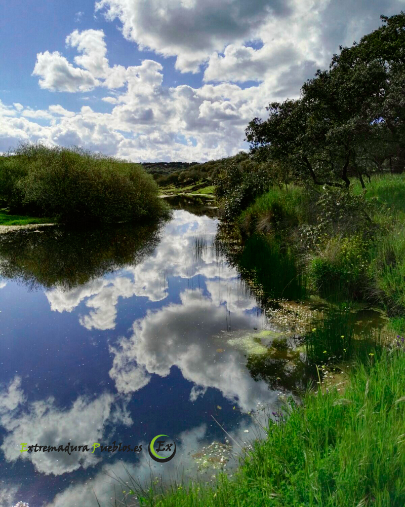 Ver Río Tamuja en Plasenzuela