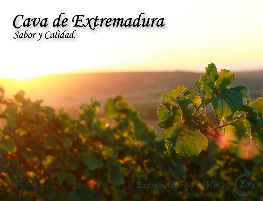 Ver Cava de Almendralejo